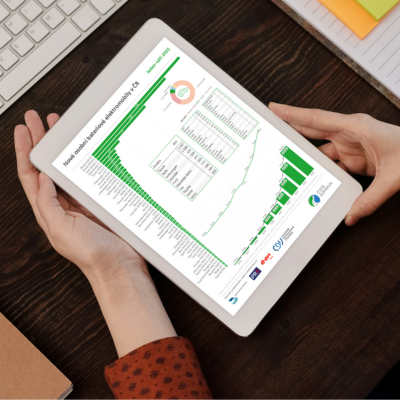 Český trh s elektromobily_náhled