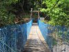 Cunneyworth, P. M. K., Andrášik, R., & Bíl, M. (2023). An effect of canopy bridges on monkey vehicle collision hotspots: Spatial and spatiotemporal analyses. American Journal of Primatology, e23492. https://doi.org/10.1002/ajp.23492.