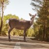 Data o dopravních nehodách využita pro detekci klimatické změny 