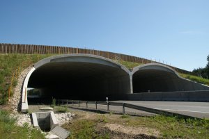 Projekt SaveGREEN: Dušan Valachovič 02