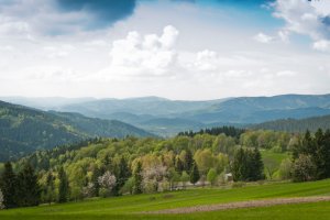 ilustrační fotografie kraje
