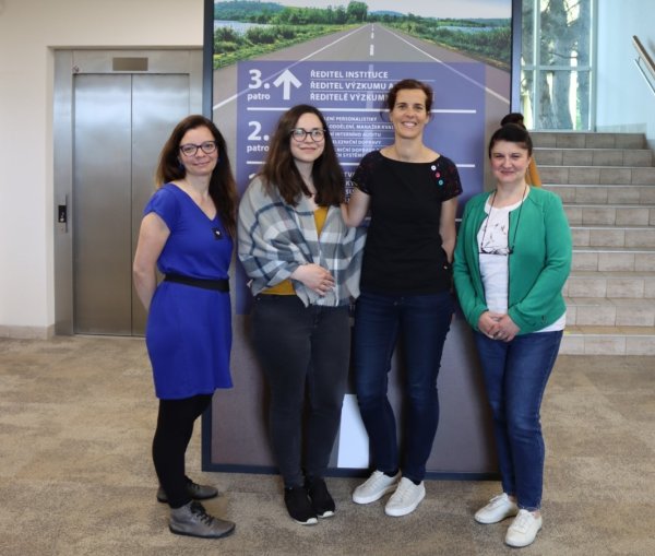 tym projekt includes