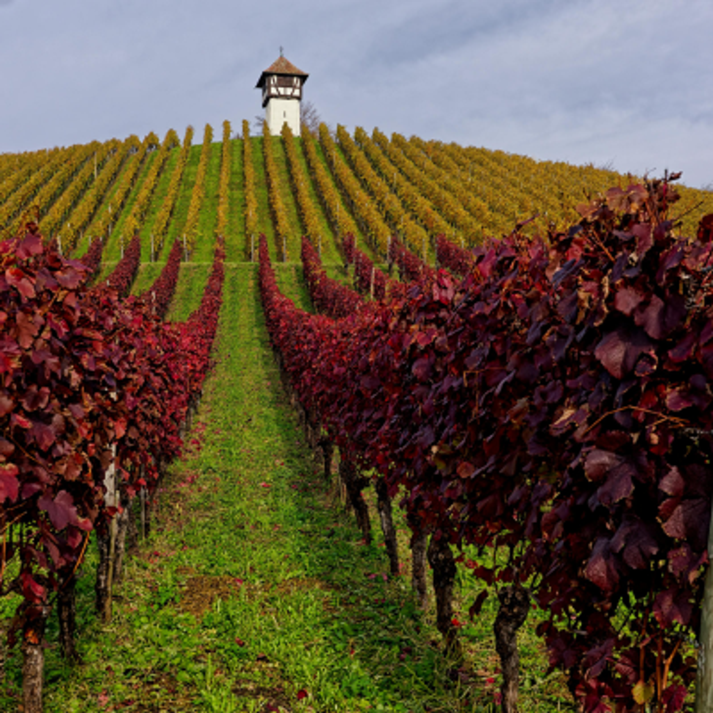 Impact of traffic intensity and vehicular emissions_preview  
TZ