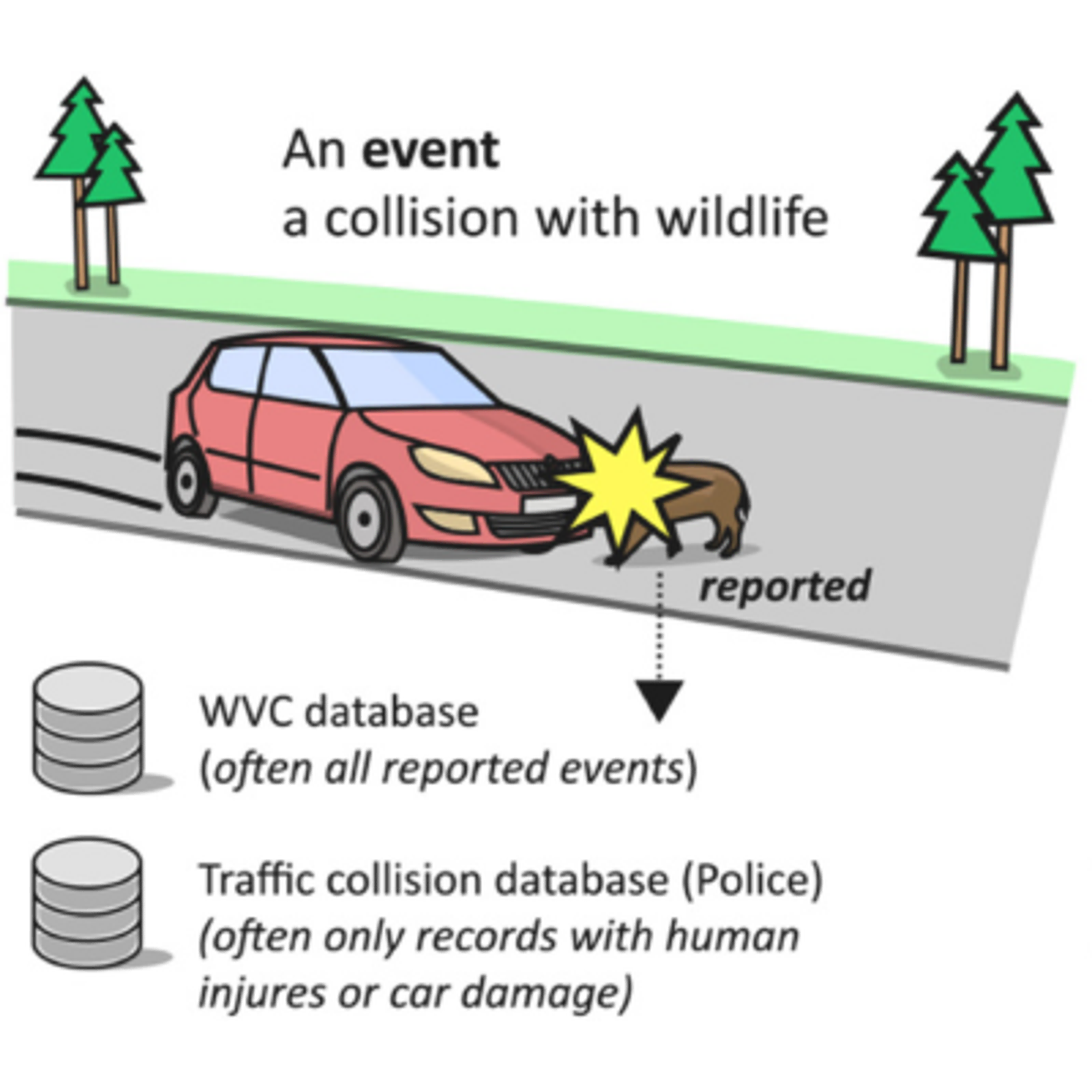 Wildlife-vehicle collision liability in Europe: A review of existing approaches and their implications_TZ