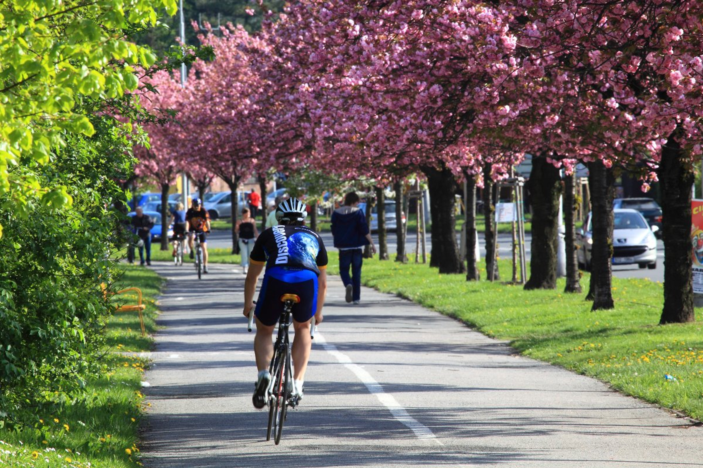 Zdroj_Karviná_foto_Štefan_Špic_sakury
