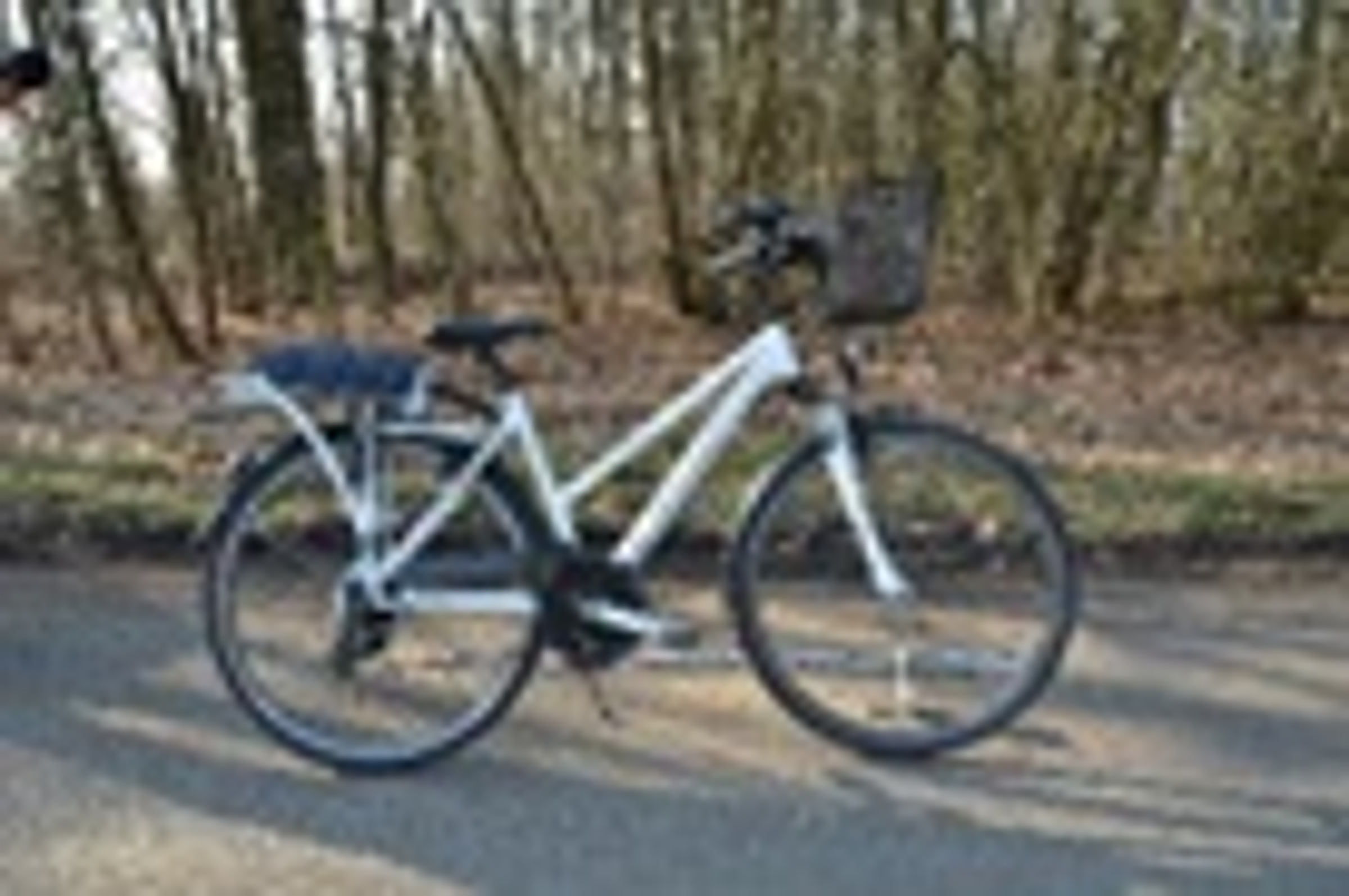 Komentář k návrhu Evropské komise na zavedení povinného ručení pro elektrokola 4