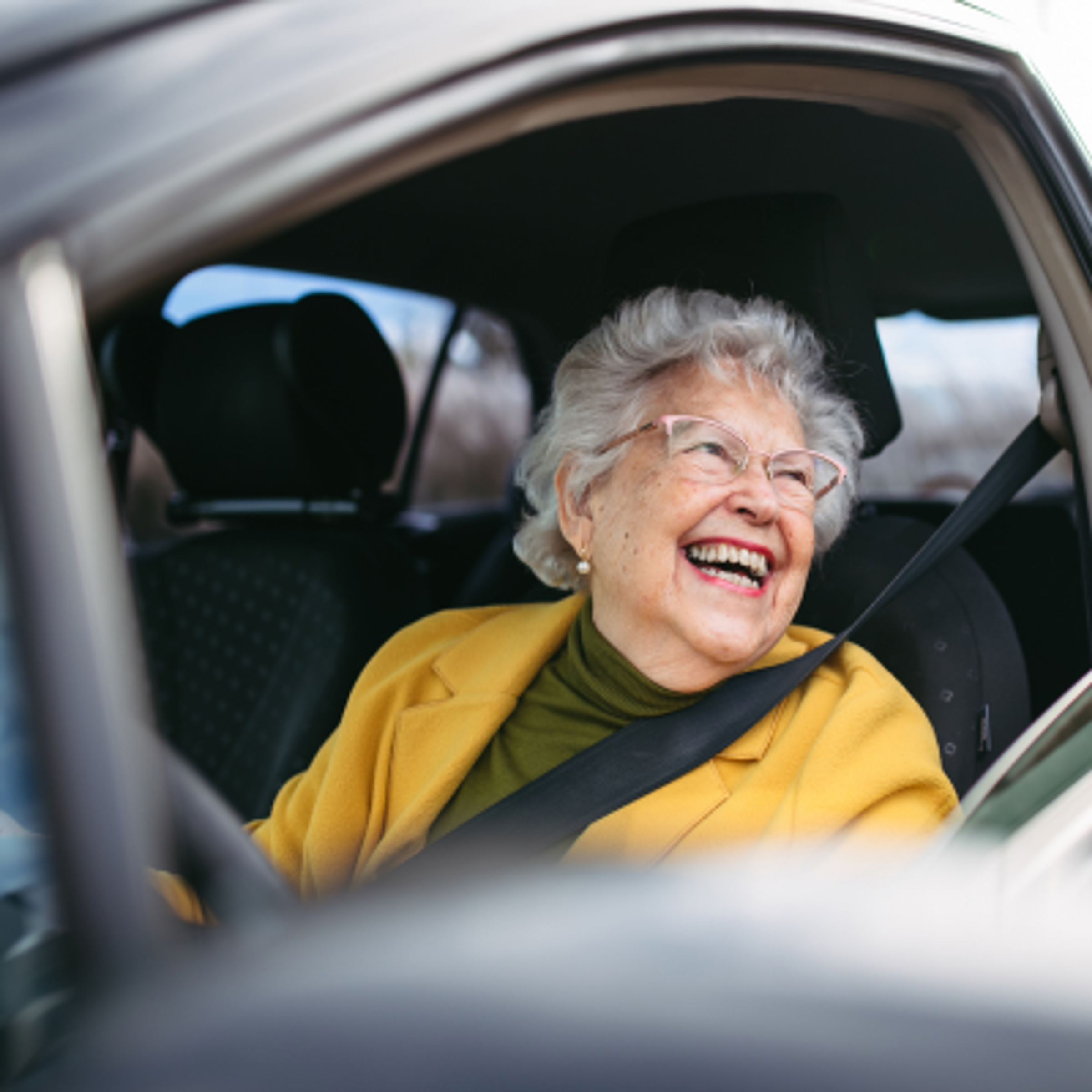 Car use, mobility and transport satisfaction_náhled