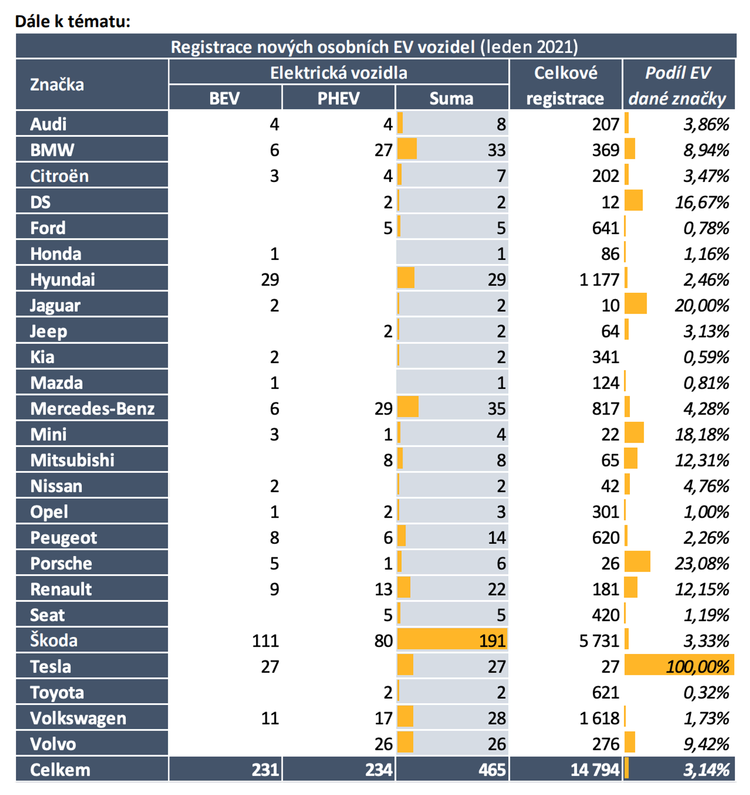 TZ: Leden 2021: Registrace nových elektrických a plynových vozidel 02
