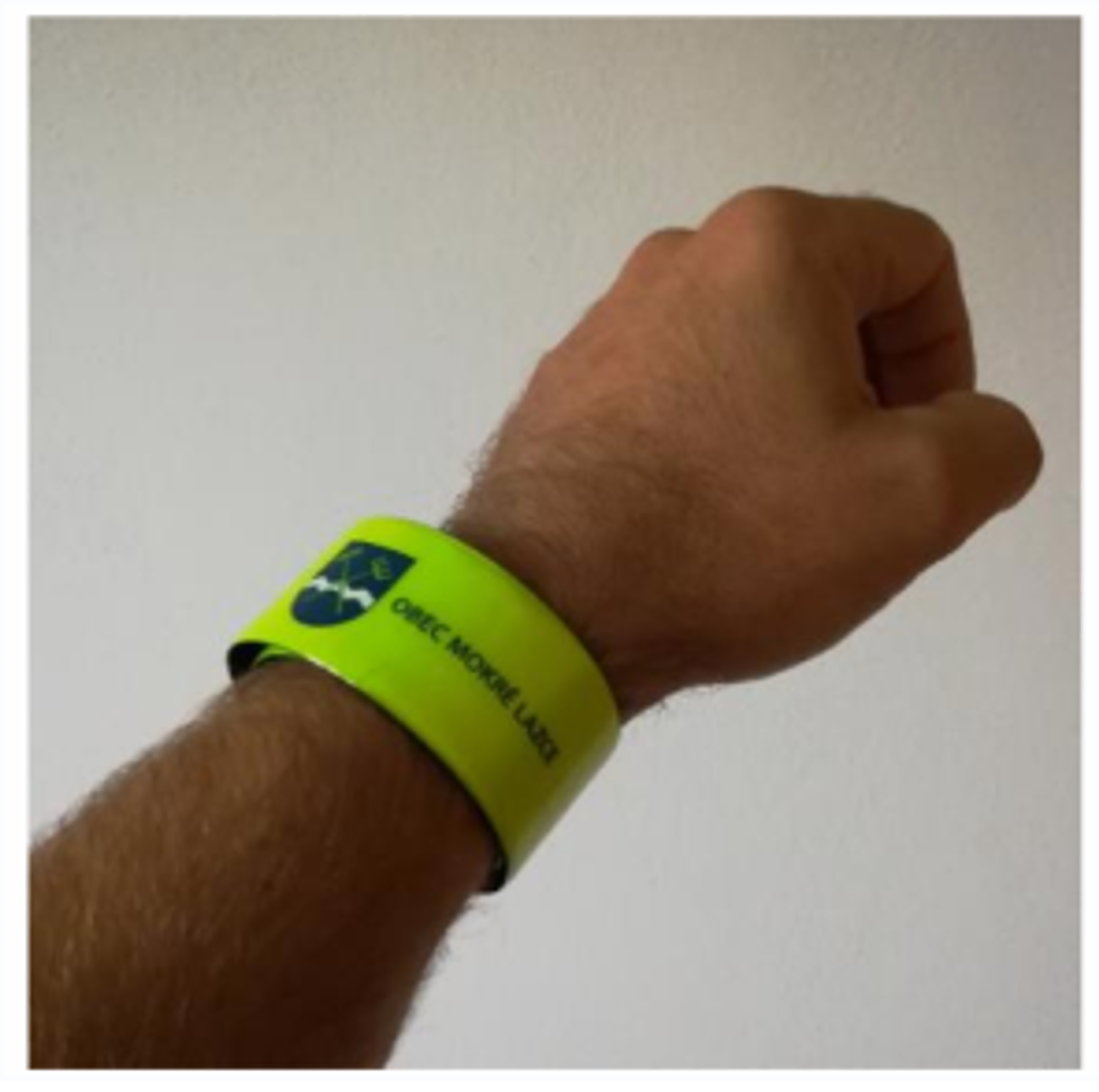 TZ: Vlastní vinou zemřela na silnicích jen necelá pětina chodců 03