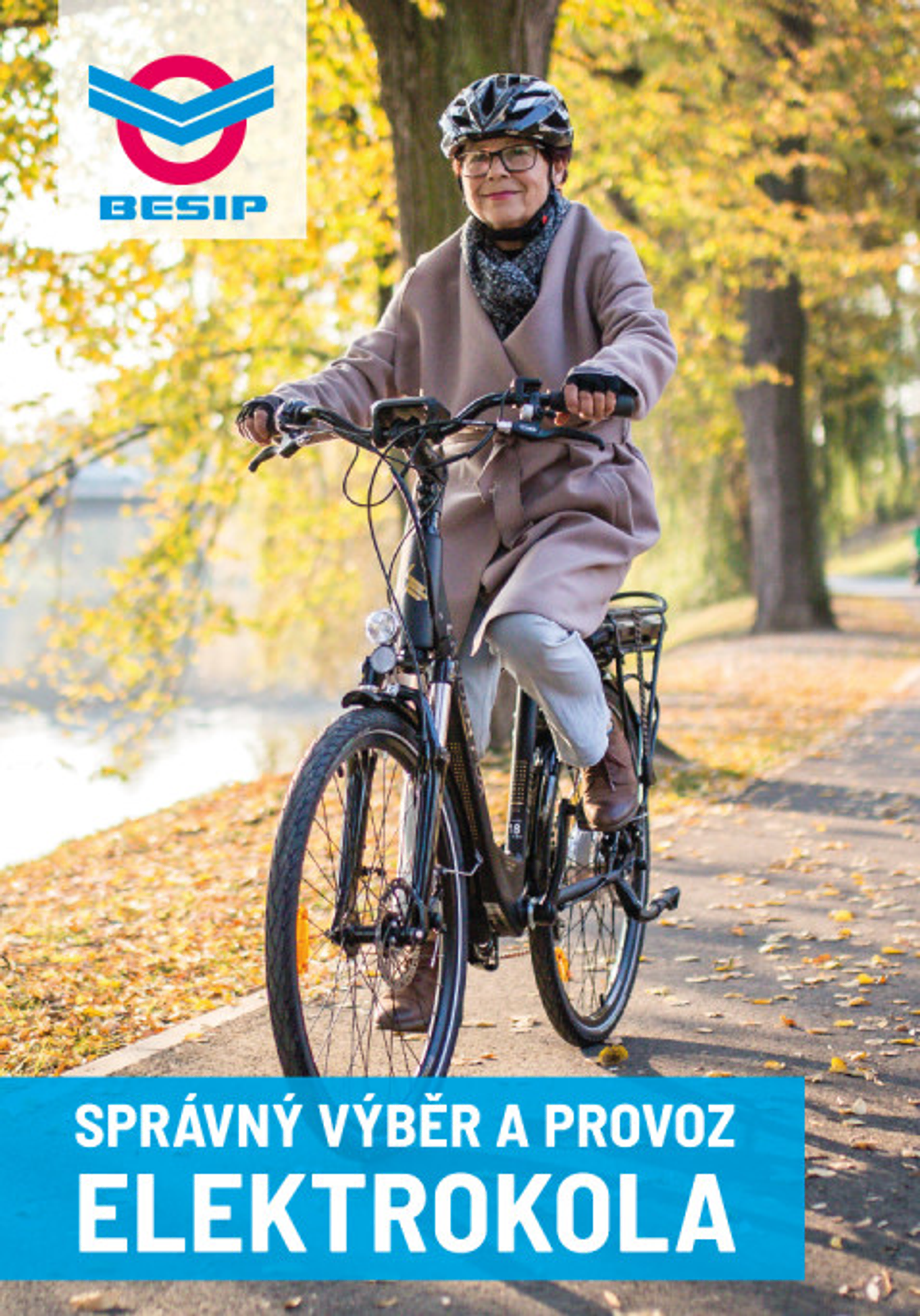 News: BESIP a CDV na veletrhu e-SALON 02