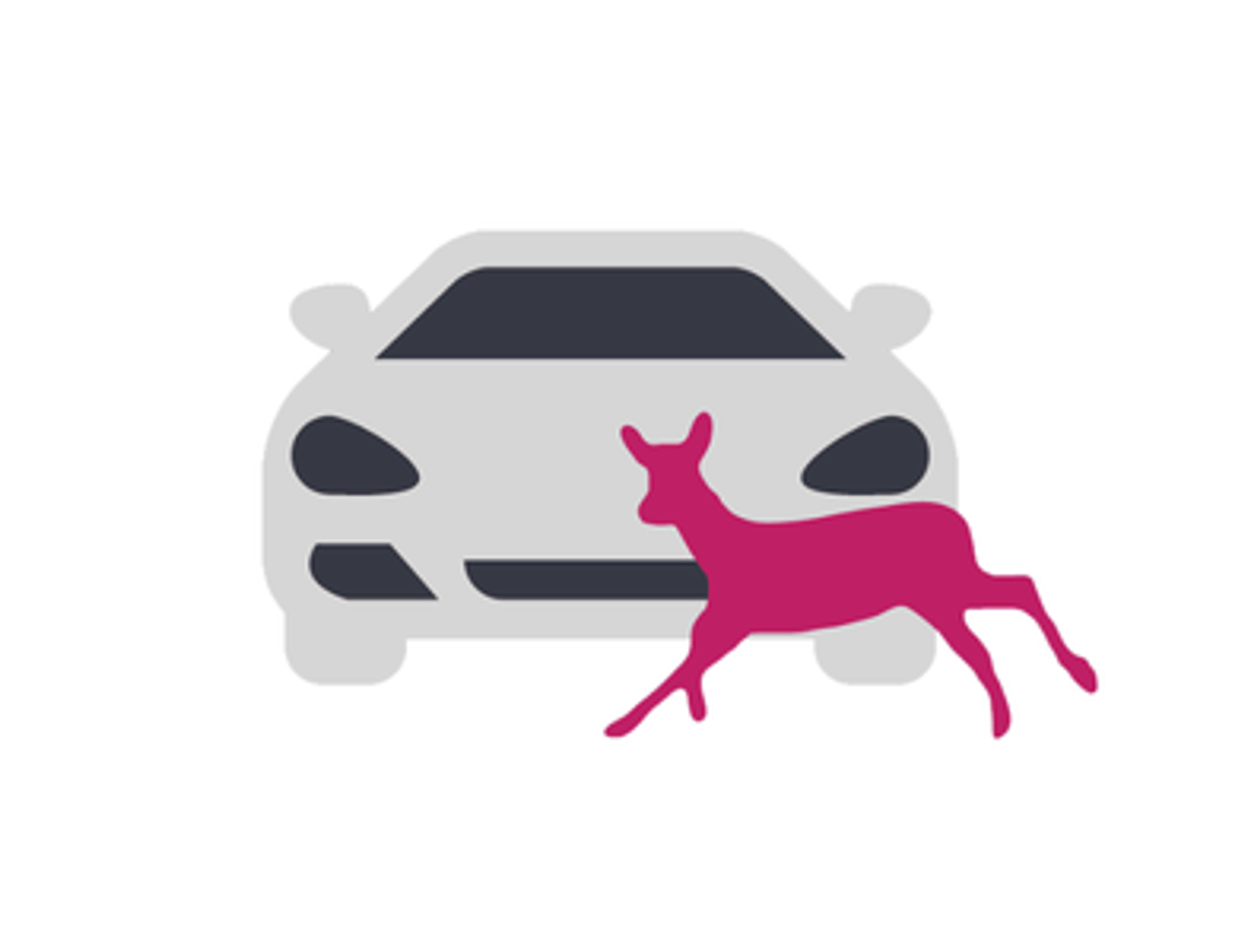 Logo Srážky se zvěří