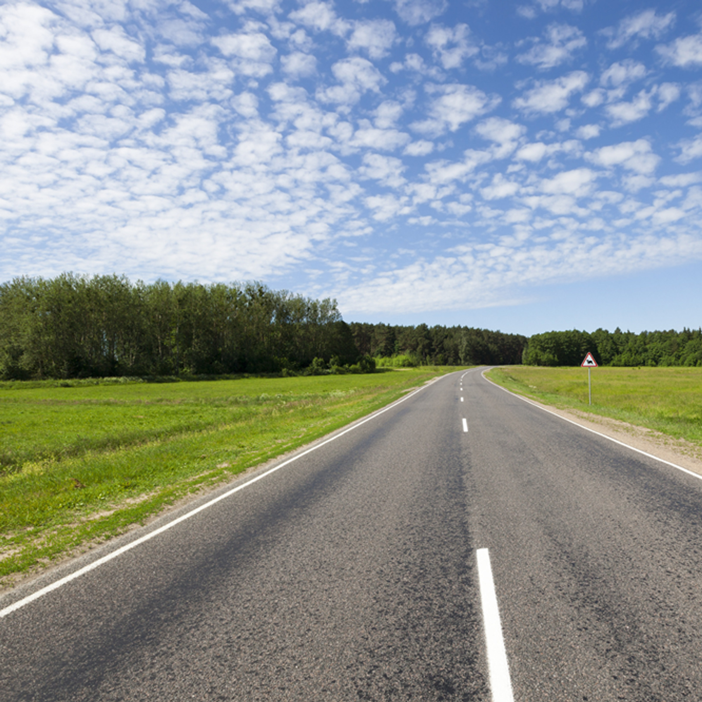 CZG-2024 Press Release