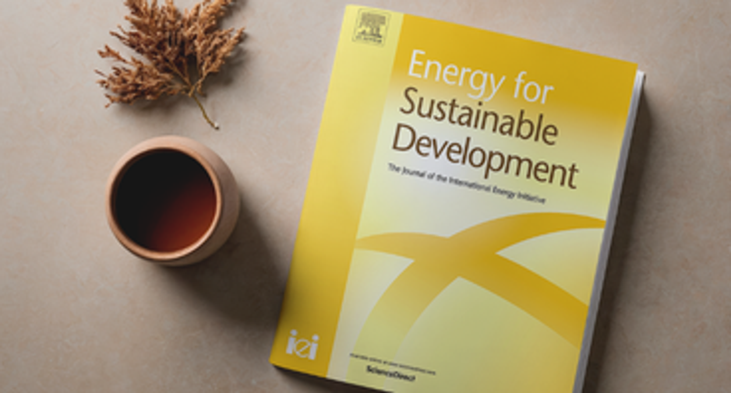 Náhled magazínu Energy for Sustainable Development