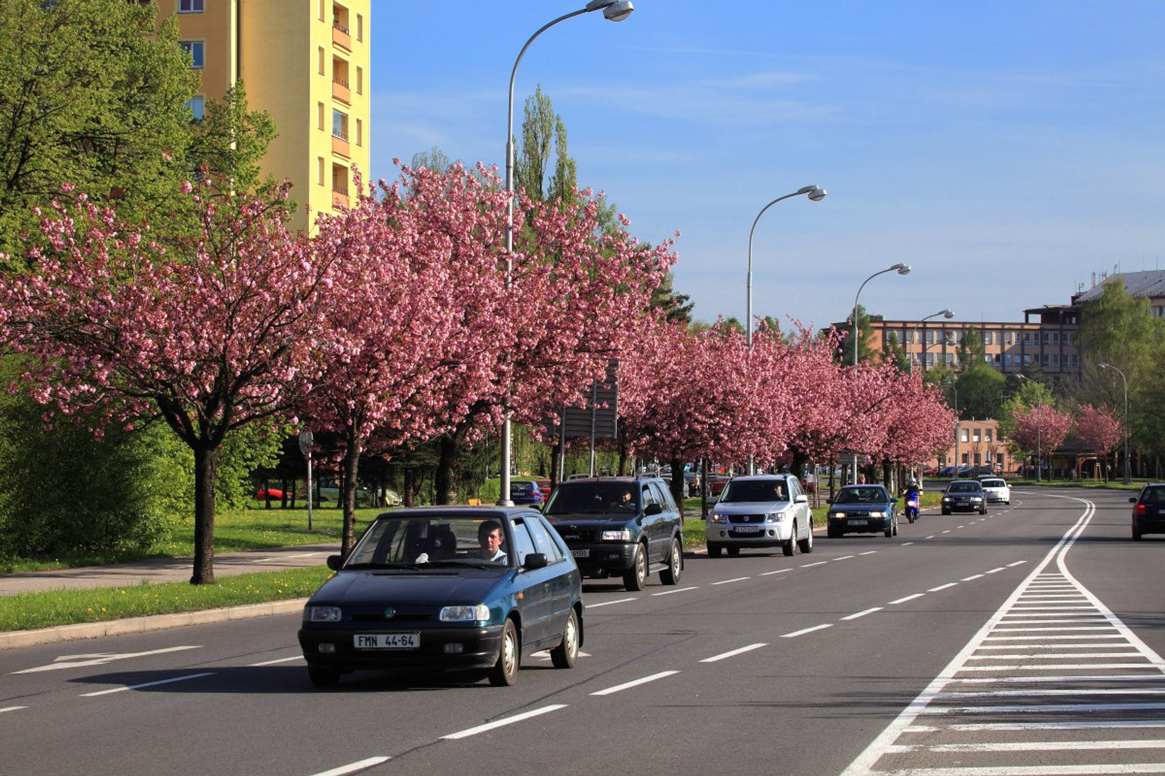 Zdroj_Karviná_foto_Štefan_Špic_sakury 2